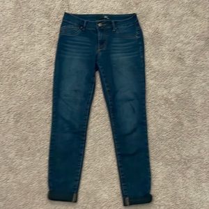 1822 Denim Rayne Flex Shape-wear Skinny Jean